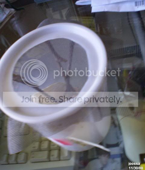 PPB300146.jpg