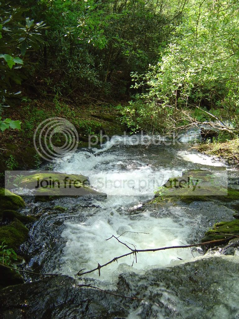 DSC03770.jpg