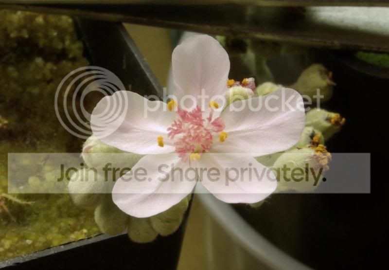 _IGP8748a.jpg