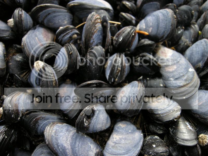 DSCN7160.jpg
