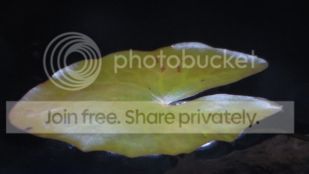SAM_1628_zps4454efe7.jpg