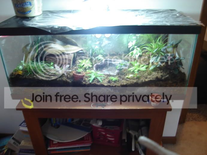 plantsfrogs009.jpg