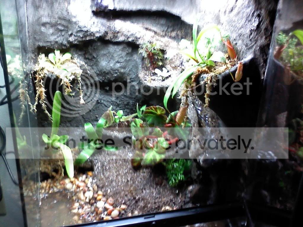 plants_part01.jpg