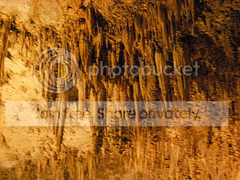DSCN0074-1.jpg