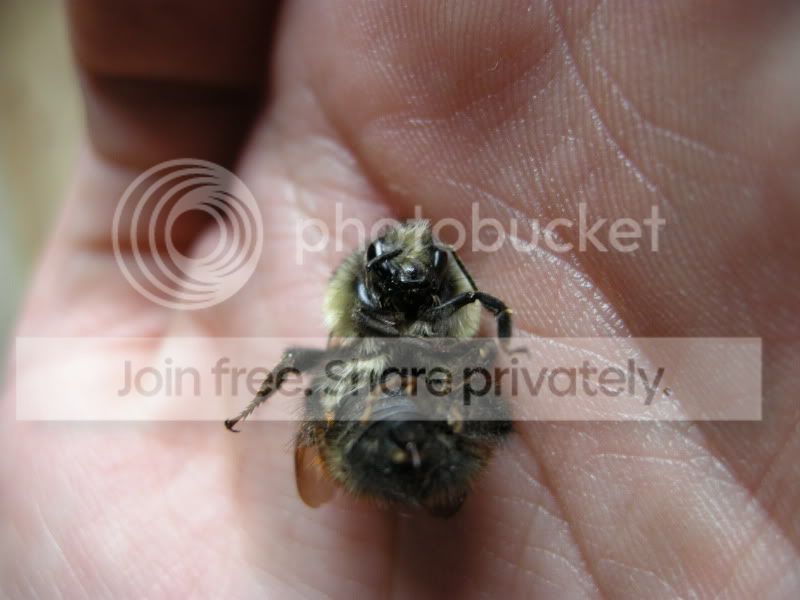 DSCN6035.jpg
