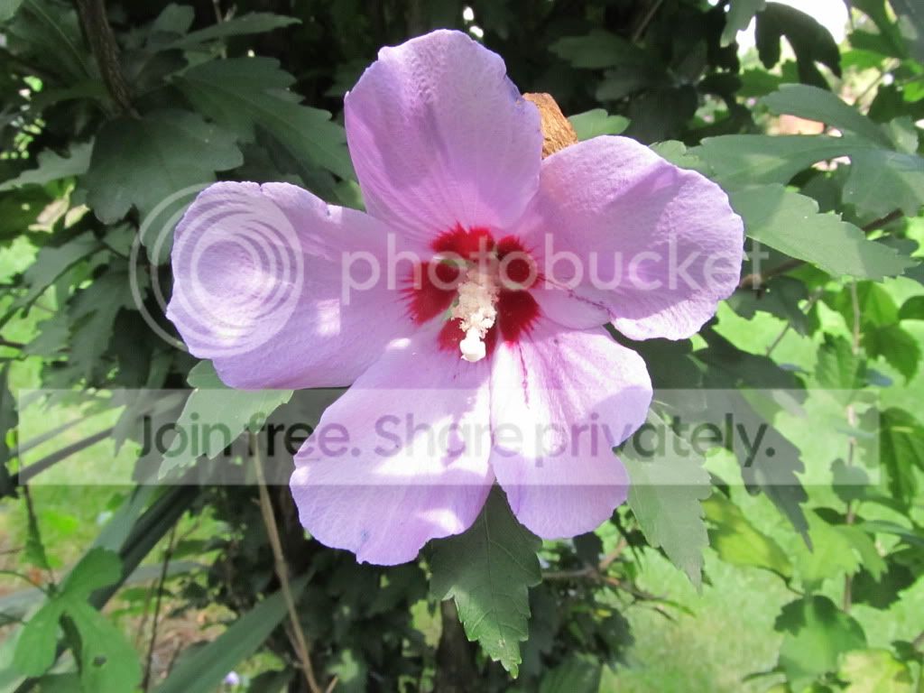 IMG_8851.jpg