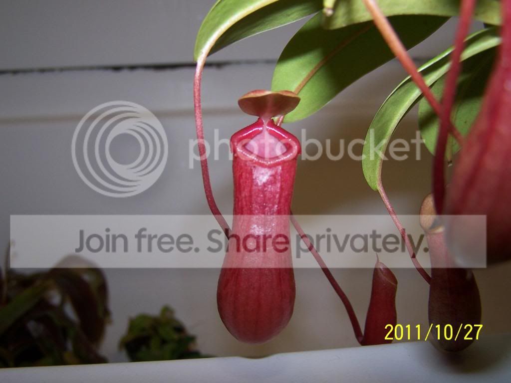 100_5469.jpg