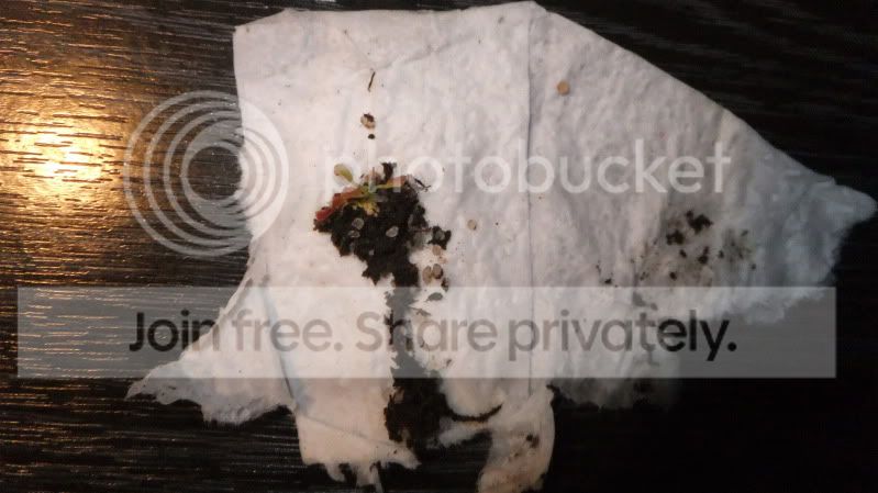 DSCF1224-1.jpg