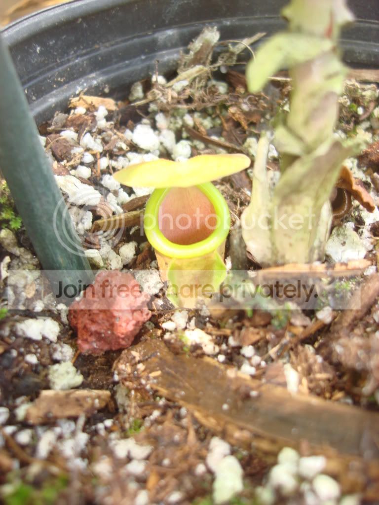 DSC07606.jpg