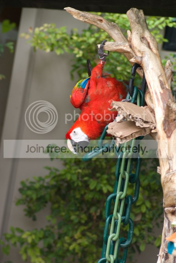 IMGP3306_zpsb7hokhof.jpg