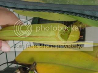 DSCN0431-2.jpg