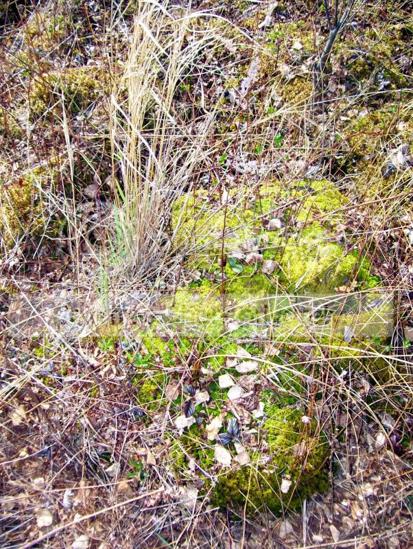 100_3304.jpg