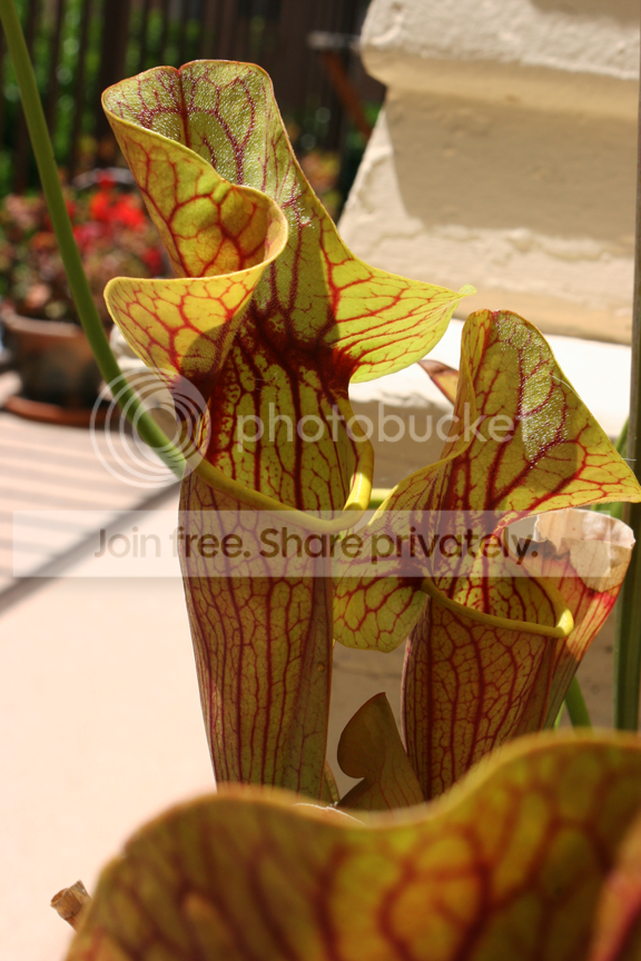 IMG_4587.png