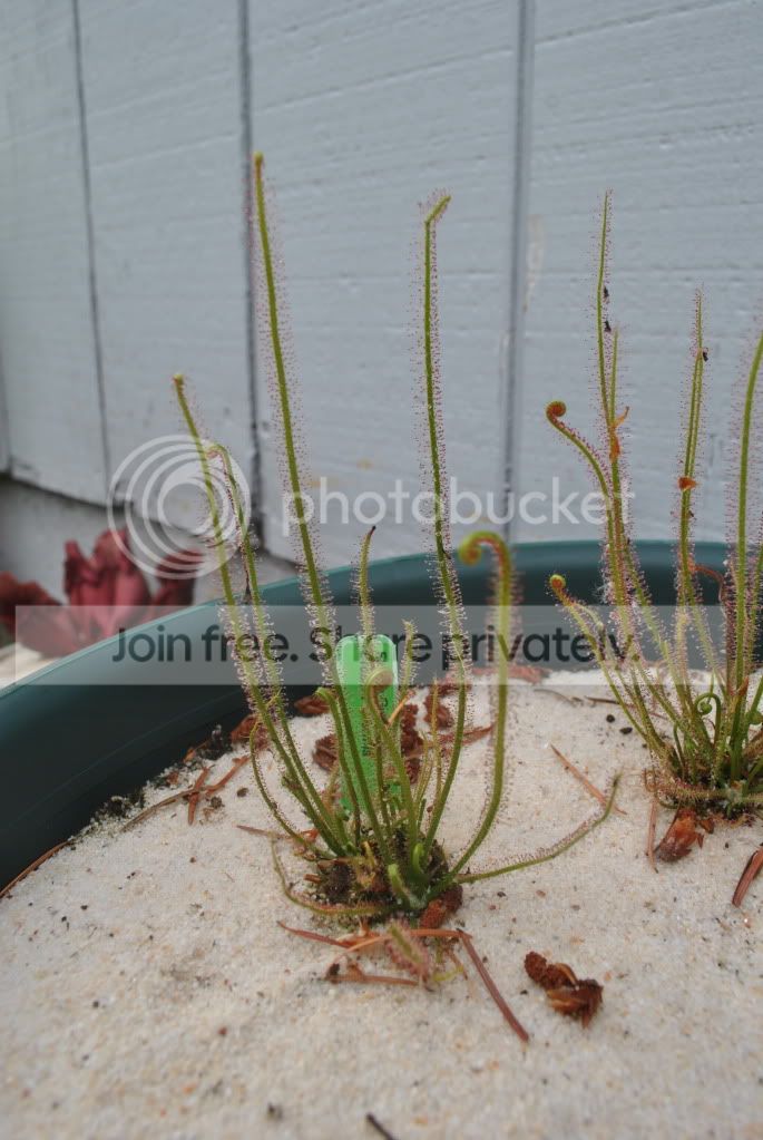 June2011208.jpg