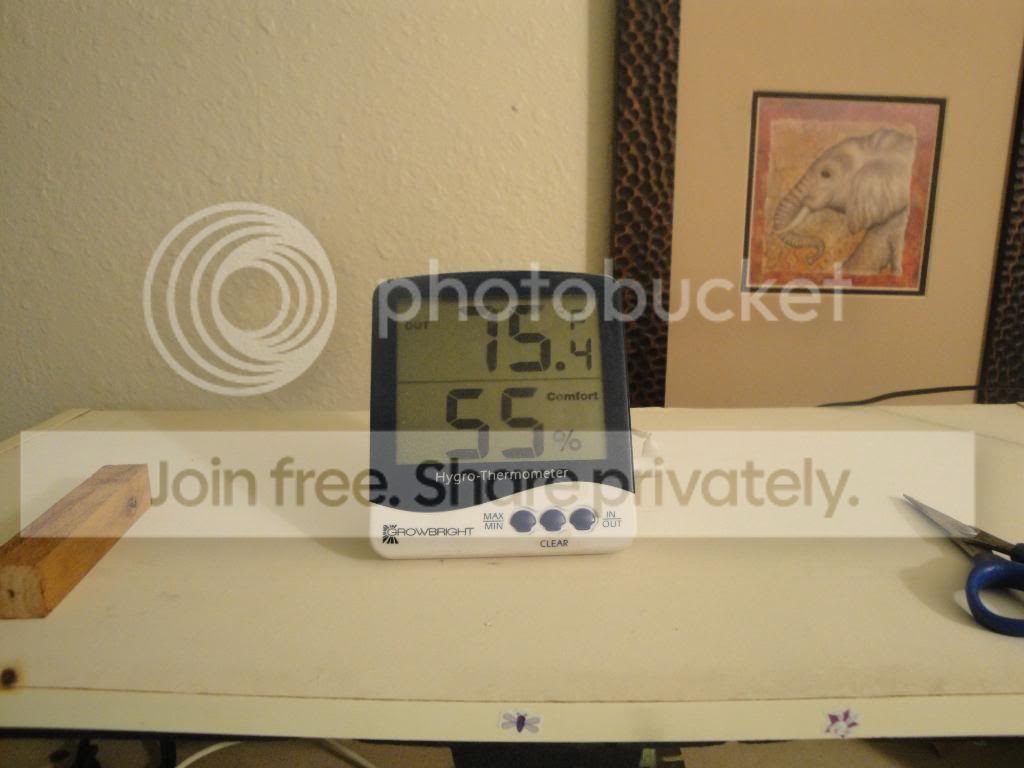 DSC02952.jpg