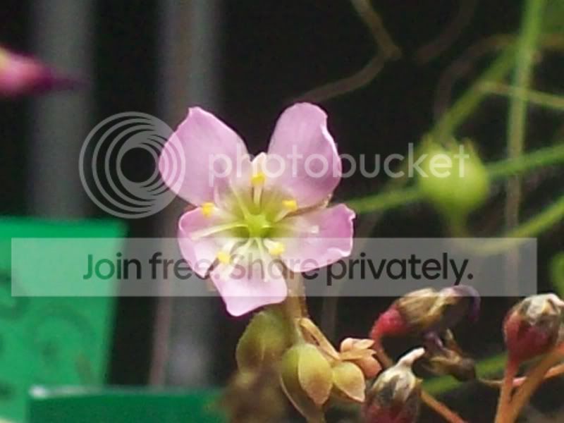 003-6.jpg