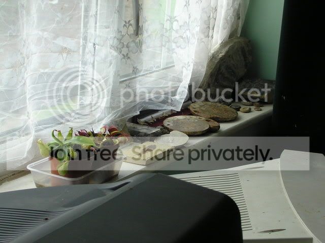 room3.jpg