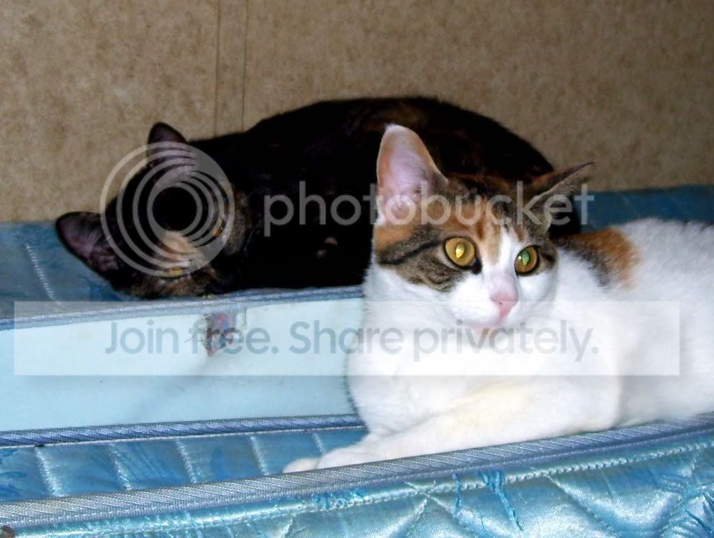 100_6851.jpg