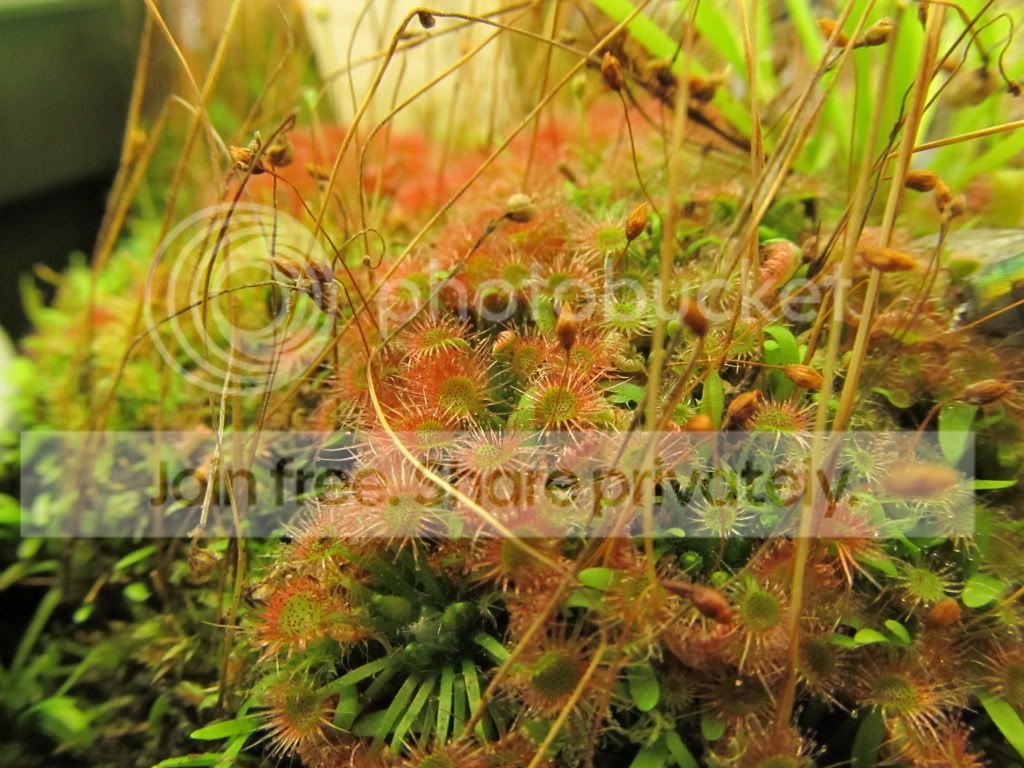 IMG_8652.jpg