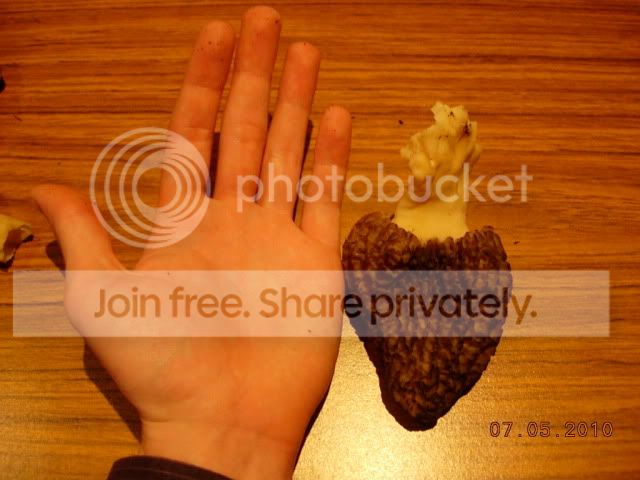 DSCN3811.jpg