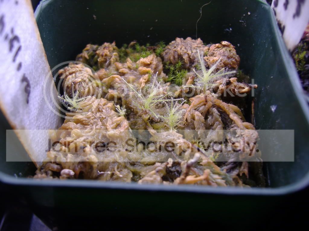 DSCF1726.jpg
