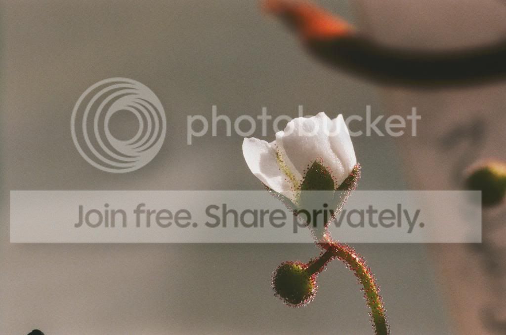 01220021copy.jpg