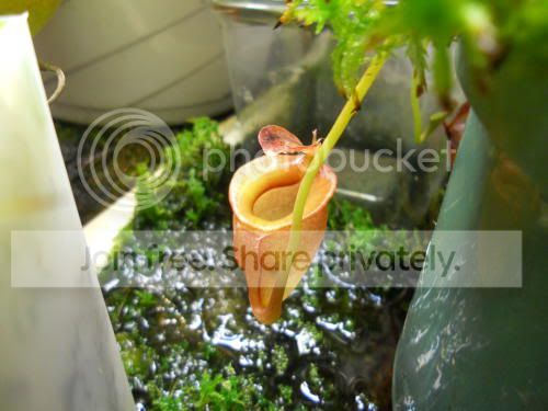 Njacq_7-23-11.jpg