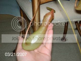 soontobebog003.jpg