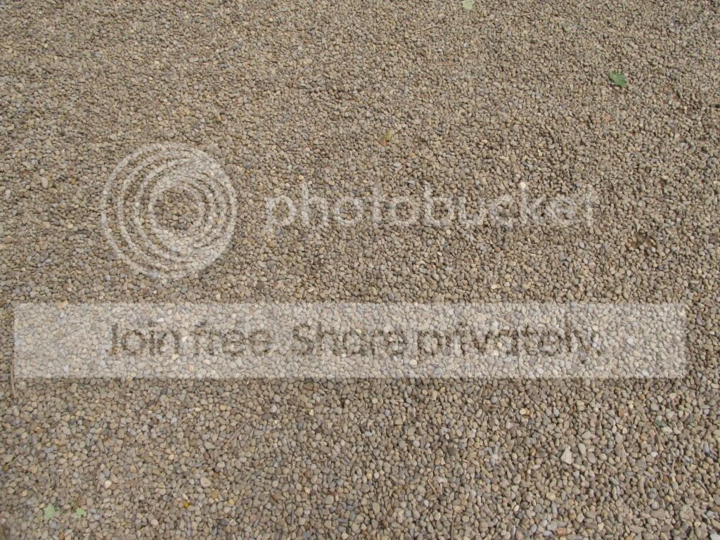 IMG_8891.jpg