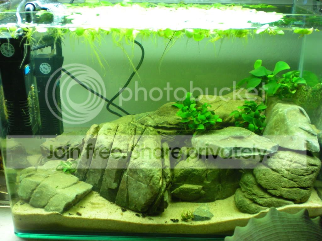 DSCN3878.jpg