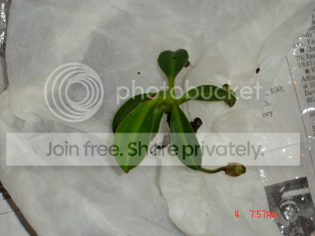 DSC00373.jpg
