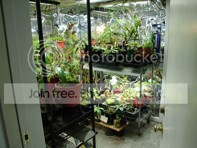 Growroom5.jpg