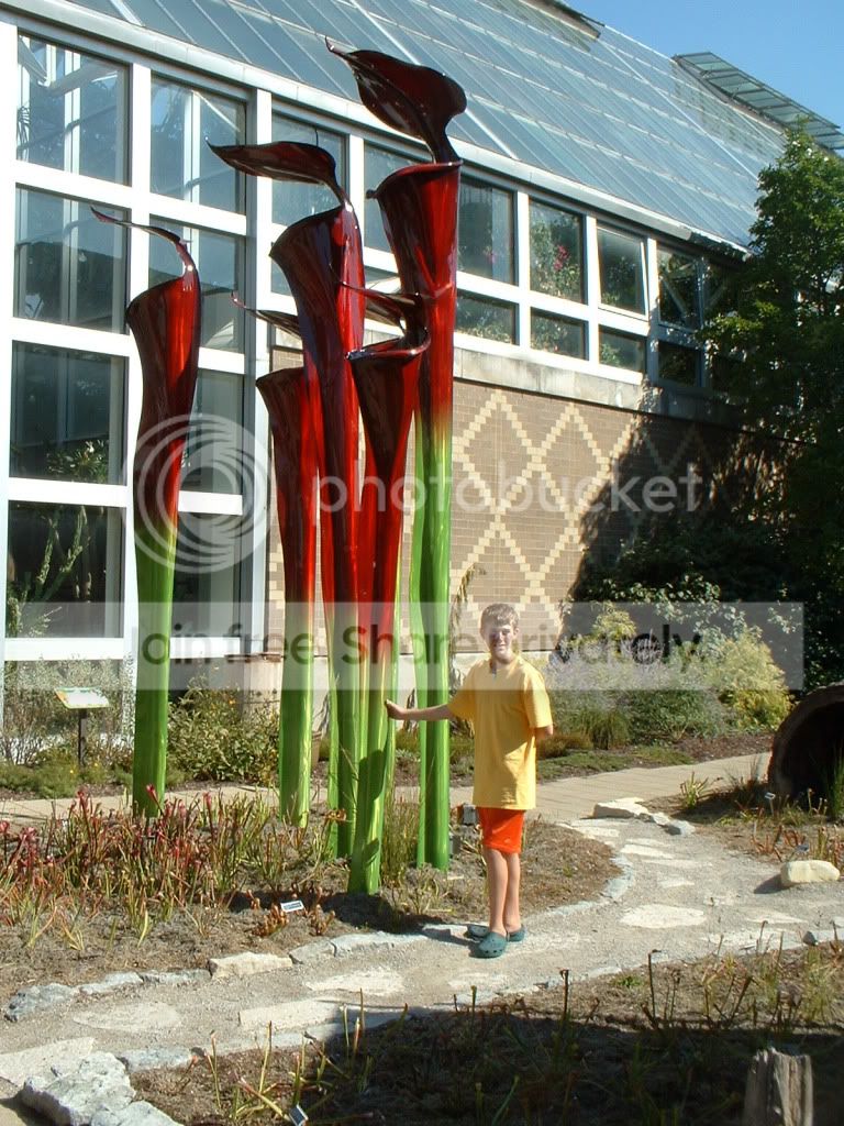FranklinPark-Yeah086.jpg
