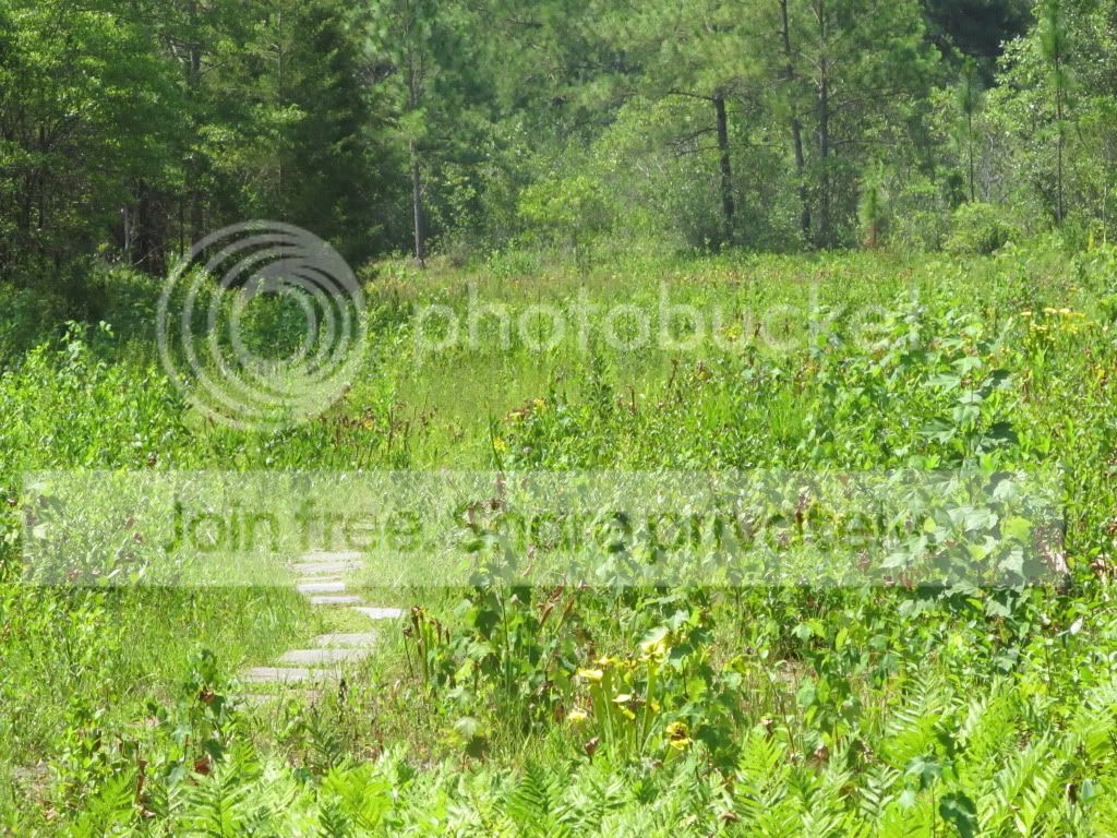 IMG_5950.jpg