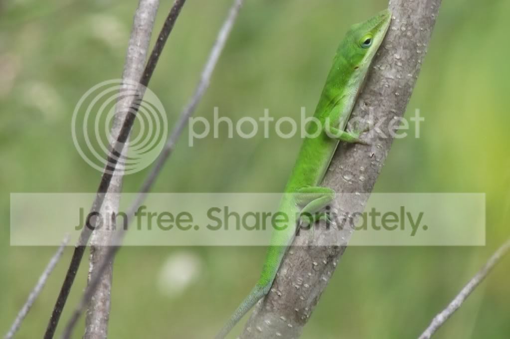 DSCF8072.jpg