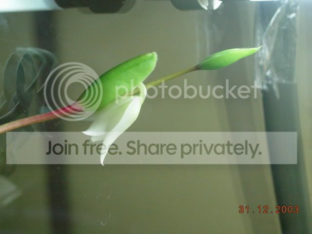 DSCN3502.jpg