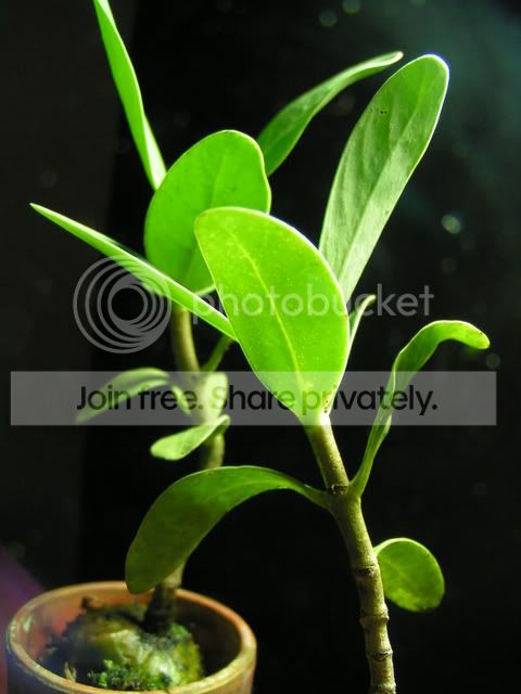 3f5c73b3.jpg
