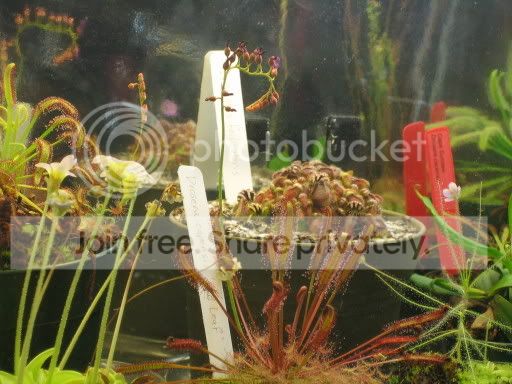 JuneCPpics017.jpg