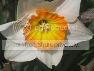 Spring2009030.jpg