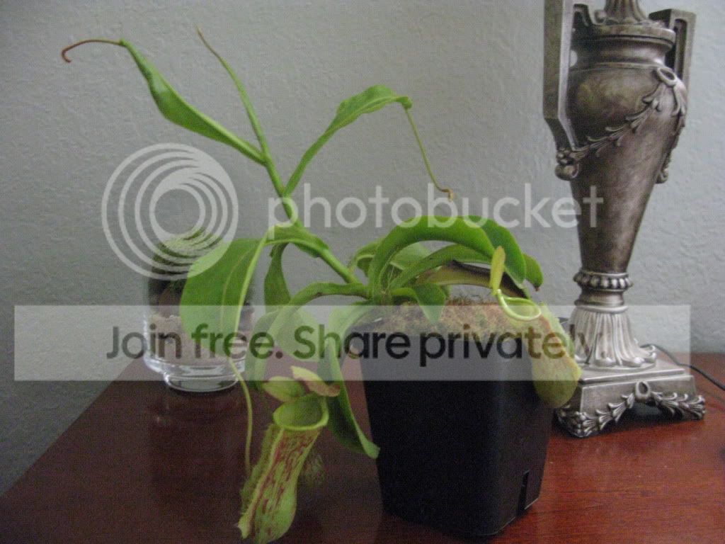 IMG_8919.jpg