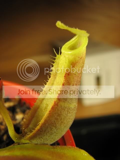 Picture020.jpg
