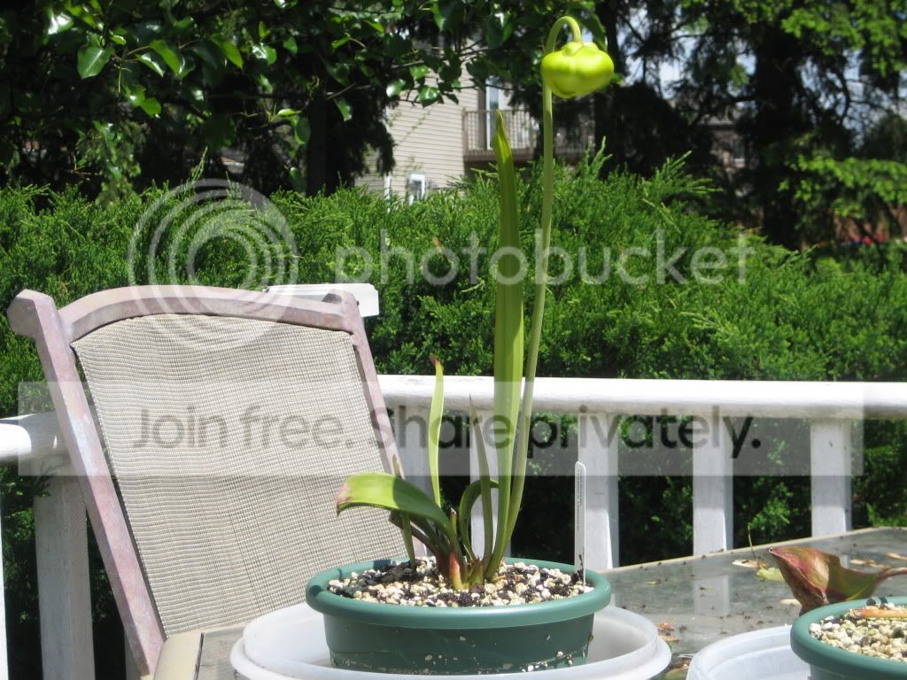 IMG_1933.jpg