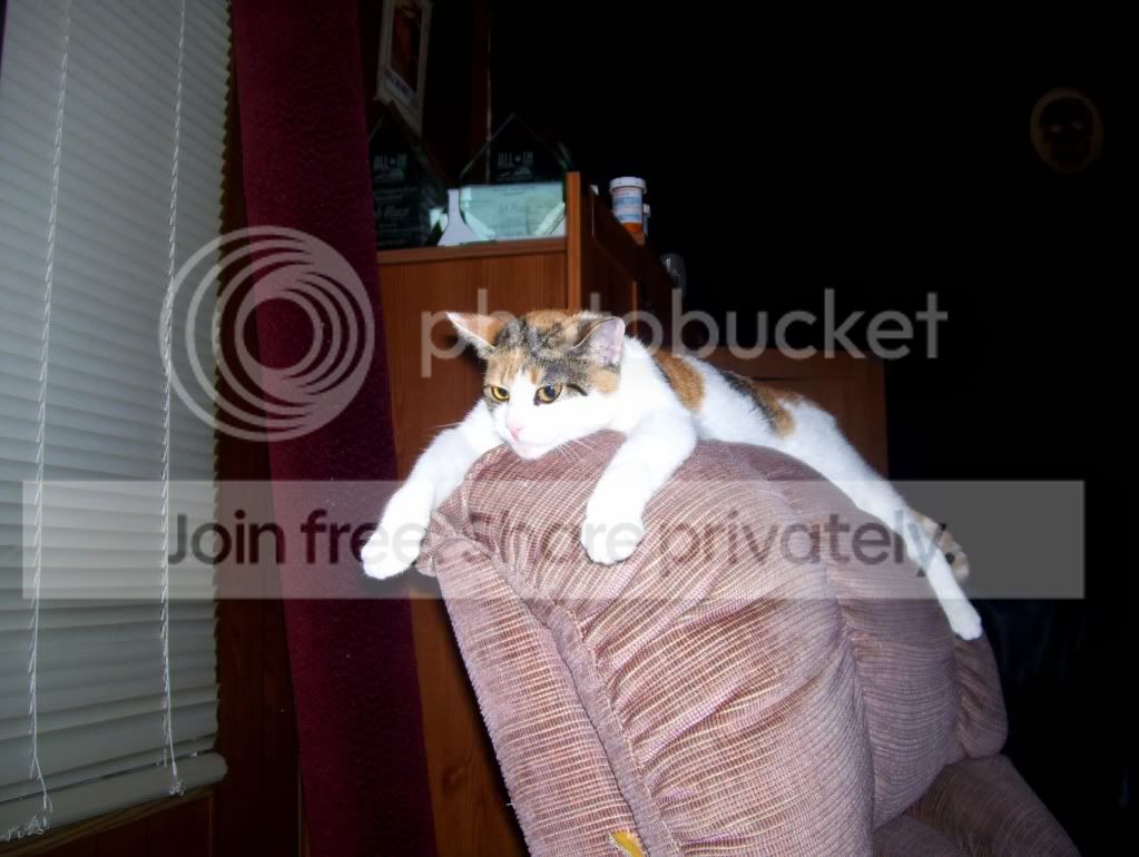 100_4585.jpg