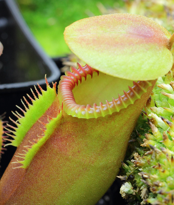 macro2_april2013.jpg