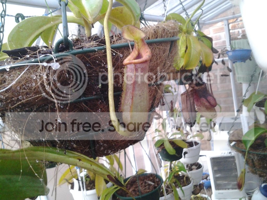 20120716_172437.jpg