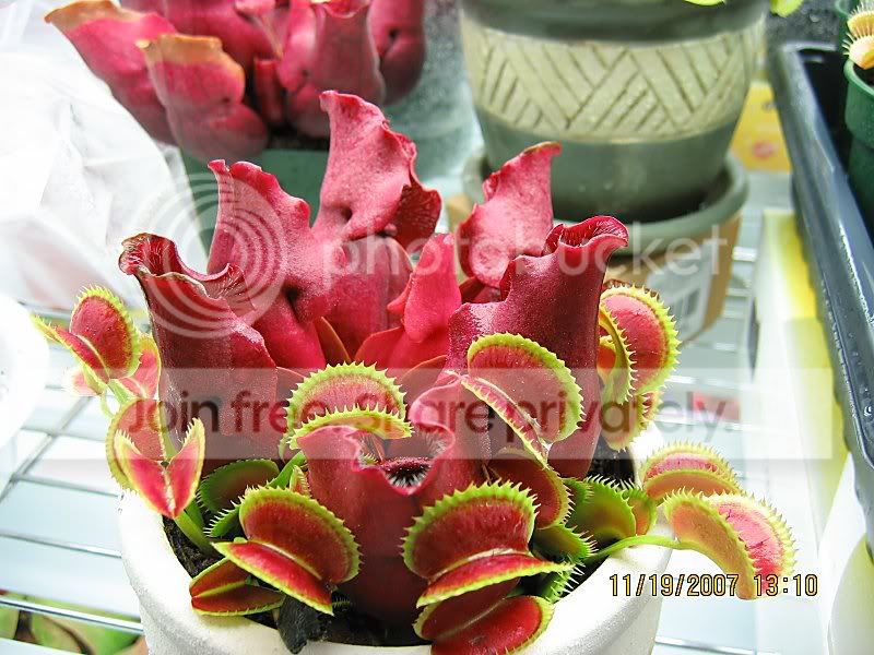 MothersDayGift-1.jpg
