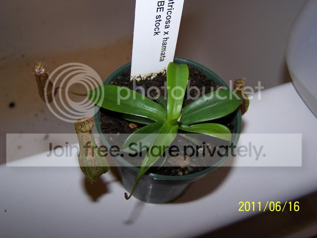 100_4662.jpg