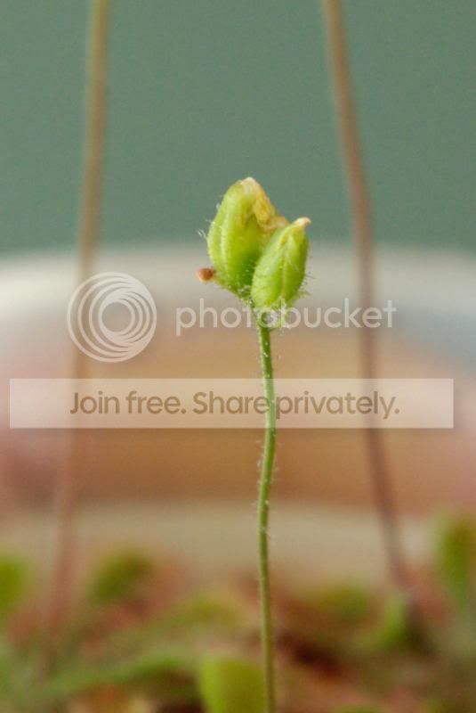 _IGP0437a.jpg