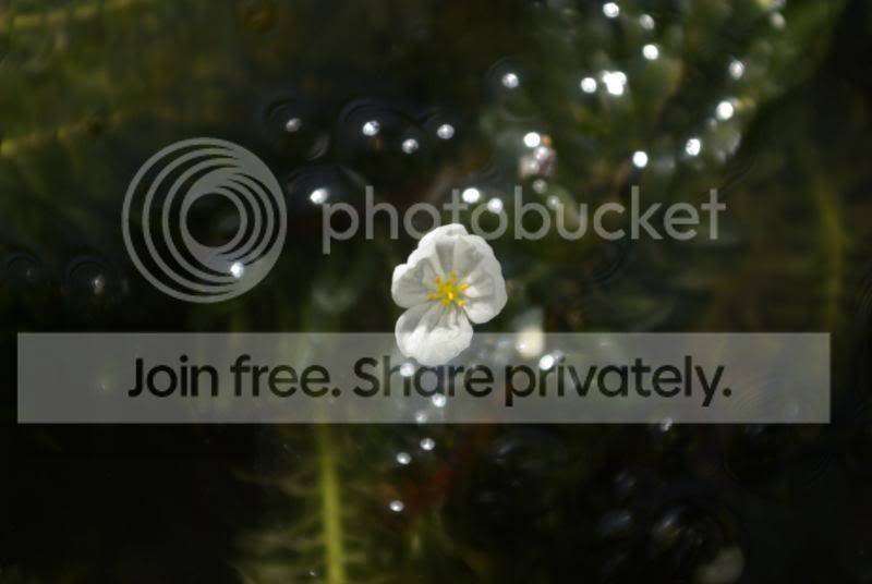 _IGP0151.jpg