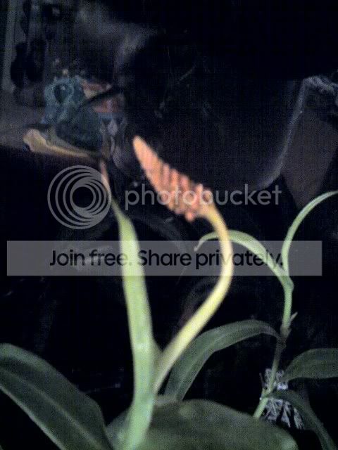 04-27-10_2309.jpg